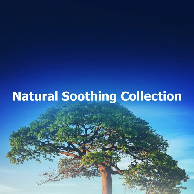 Natural Soothing Collection