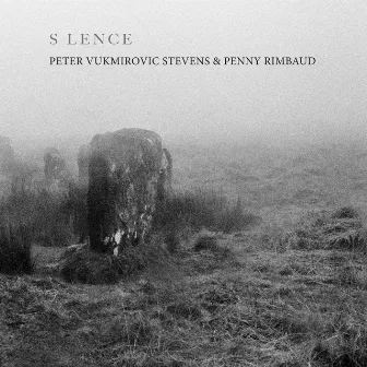 S LENCE by Peter Vukmirovic Stevens