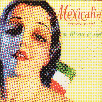 Mi México de Ayer by Mexicalia