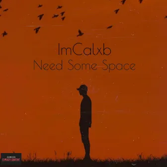 Need Some Space by ImCalxb