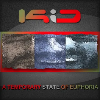 A Temporary State of Euphoria by Kio