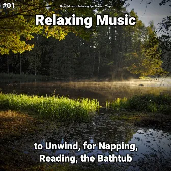 #01 Relaxing Music to Unwind, for Napping, Reading, the Bathtub by Quiet Music