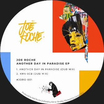 Another Day In Paradise by Joe Roche