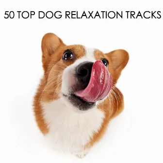 50 Top Dog Relaxation Tracks by Dog Chillout Zone