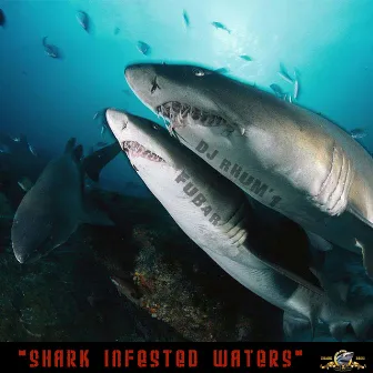 Shark Infested Waters by Fubar