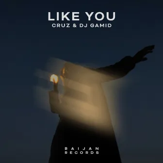 Like You by DJ Gamid