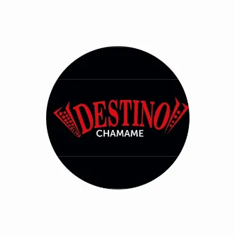 Olvidarte de mi jamas podras by Destino Chamame