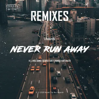 Never Run Away (Remixes) by Lifebirds