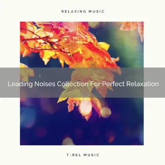 Leading Noises Collection For Perfect Relaxation by Unknown Artist