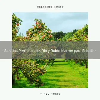 Sonidos Perfectos del Río y Ruido Marrón para Estudiar by Ruido Blanco