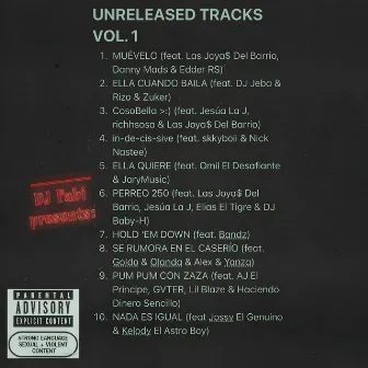 UNRELEASED TRACKS, Vol. 1 by DJ Fabi