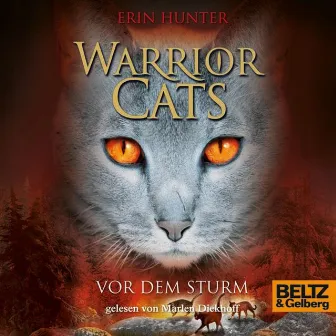 Warrior Cats. Vor dem Sturm (I, Folge 4) by Erin Hunter