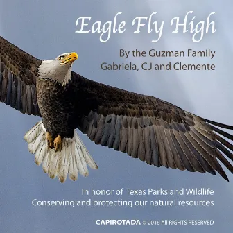 Eagle Fly High by Clemente F Guzman III