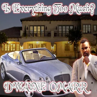 Is Everything Too Much by Dwayne Omarr