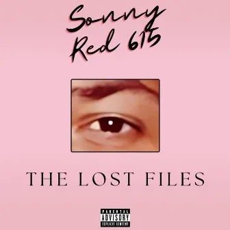 The Lost Files by Sonny Red 615