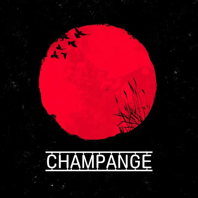 Champange