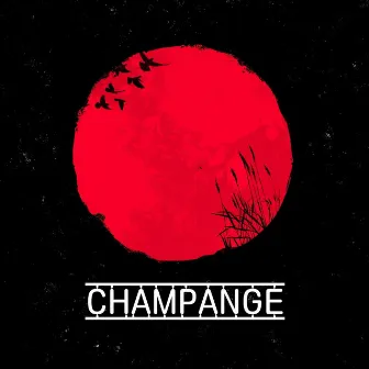 Champange by Nau