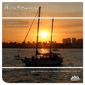 Homecoming by Anatomica