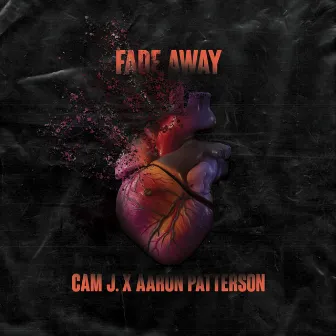 Fade Away by Cam J