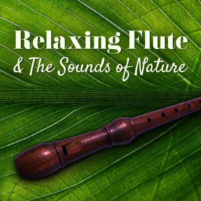 Relaxing Flute Music Zone