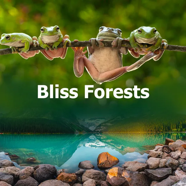 Bliss Forests