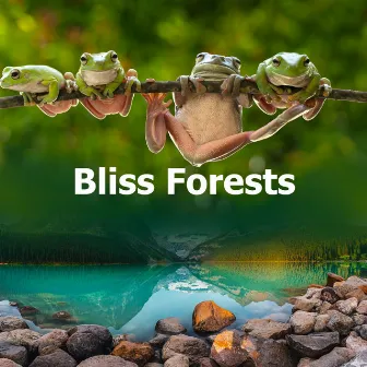 Bliss Forests by Nature Sounds Conservatory