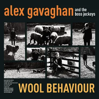 Wool Behaviour by Alex Gavaghan