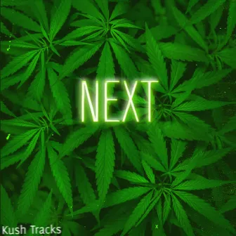 Next by Kush Tracks