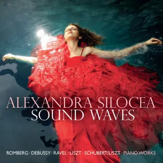 Sound Waves by Alexandra Silocea