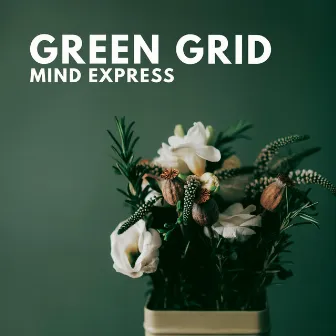 Mind Express by Green Grid