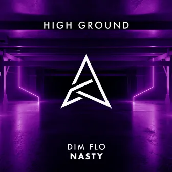 NASTY by DIM FLO