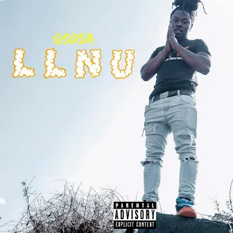 Llnu by G Sosa