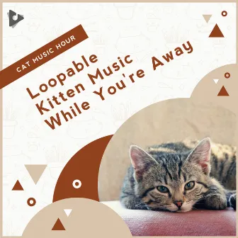 Loopable Kitten Music While You're Away by Cat Music Hour