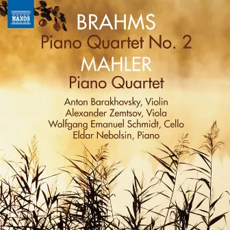 Brahms & Mahler: Piano Quartets by Wolfgang Emanuel Schmidt