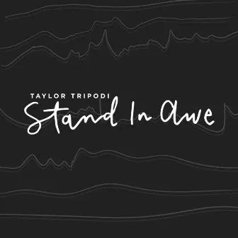 Stand in Awe by Taylor Tripodi