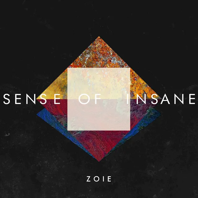 Sense Of Insane