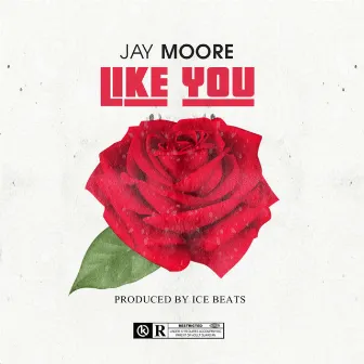 Like You by Jay Moore