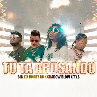 Tu Ta Abusando by T.Y.S