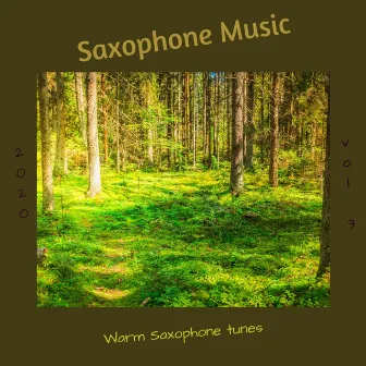 Warm Saxophone Tunes, Vol. 3 by Saxophone Music