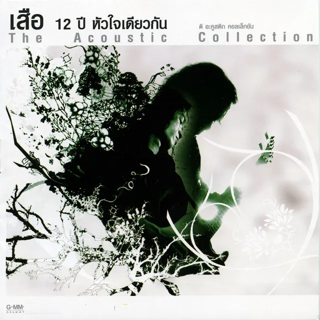 เสือ 12 ปี หัวใจเดียวกัน The Acoustic Collection