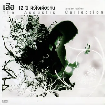 เสือ 12 ปี หัวใจเดียวกัน The Acoustic Collection by Suer Thanapon