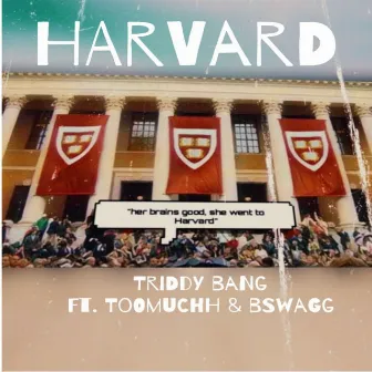 Harvard by Triddy Bang