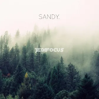 Sandy. by Unknown Artist