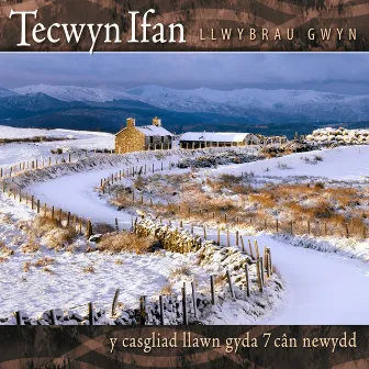 Llwybrau Gwyn by Tecwyn Ifan