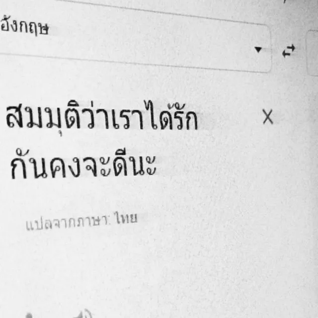 สมมุติว่าเราได้รักกันคงจะดีนะ