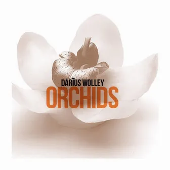 Orchids by Darius Wolley