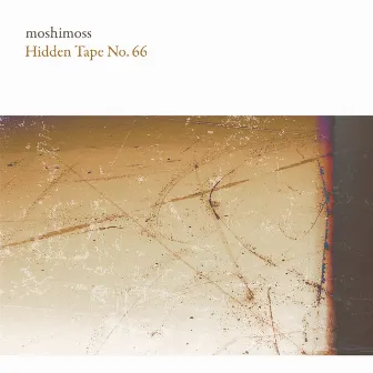 Hidden Tape No.66 by Moshimoss