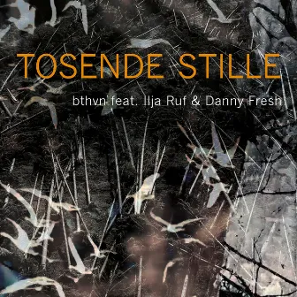 Tosende Stille by bthvn