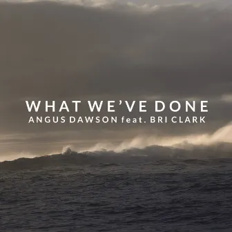 What We've Done by Angus Dawson