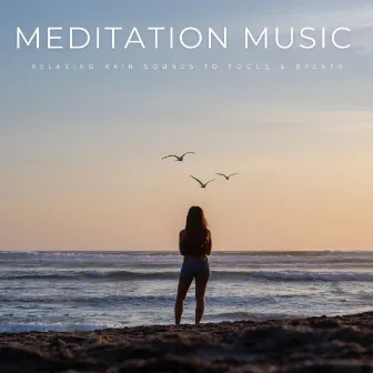 Meditation Music: Relaxing Rain Sounds To Focus & Breath by Forest Treasures